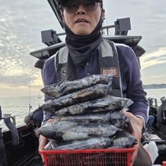 인천 [마린스타 1호 & 3호] 10월 23일(금) [쭈꾸미 갑오징어] 조황!!!