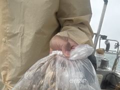 주꾸미 수중전에도 나름 선방했네요