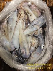 [진해] 갈치 텐빈 한치도!! 밤새 퍽퍽~~수요일부터 예약가능 사진