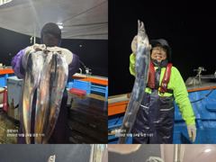 통영영운호14석) 먼바다 대갈치 쿨러가득까지 폭우속 고생많았습니다 (28일 수요일부터 예약가능합니다)