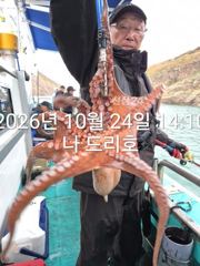 24일, 군산 왕문어 ~연일 계속되는 문어낚시~실시간~매일출조~군산낚시프라자 나드리호 사진