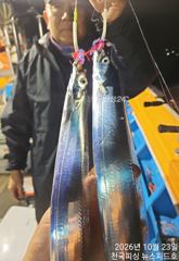 준내만수요일부터다시달립니다