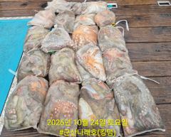 10/24 군산나래호(킹덤) 주간문어 전체조황입니다 다음주 평일 자리 여유있습니다