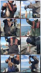 23일 뉴프린스호 쭈꾸미 갑오징어 조황입니다