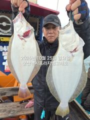 25일, 생미끼 "대광어"~개우럭~참돔,농어등, ~실시간~강한 손맛이 다르다~~군산낚시프라자 범고래호