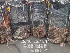 (문어)대물터 1.7K1.6K K전후 매일 쏟아지는 중 락피싱(26일 예약)
