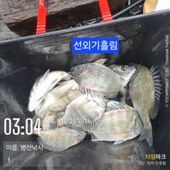 [고성] 병산 감성돔4짜외 마리수 우중속의 선상배&선외기흘림