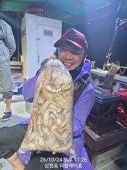 [먹물조황]삼천포문어,주꾸미조황!