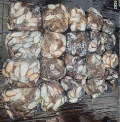 26년10월25일 군산퍼스트피싱 다온호 갑오징어 마무리 조황!