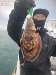 25일 갑오징어 실시간~