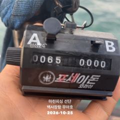 26.10.25 백사장항 무야호 갑오징어 조황^^