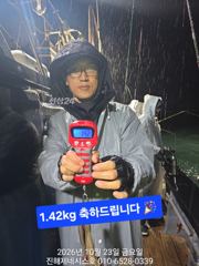 [문어] 내일(월) 야간문어 예약가 (킬로오바 조황)