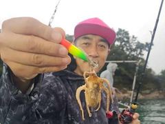 [군산] 10/25. 갑오징어. 사리물때. 조황. 군산. 대한낚시, 선단