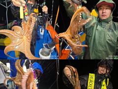 K,K,K,K,Kg급으로 올라오는 야간~돌문어 마리수 잡으러 출조 갑니다@ 오늘,화,수요일~예약가능