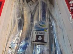 [진해] 26일새벽 내만갈치 3지급~용가리급까지 씨알 최고~!!손맛 최고…