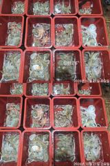 주,야간돌문어퍽~퍽마릿수굿~손맛굿~ 사진