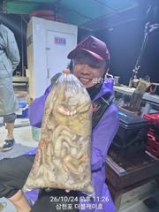 [사천] 삼천포 문어, 주꾸미 조황!