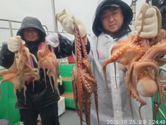 [진해] 25일세진호/돌문어종일빗속에kg.마릿수많이~화.가능~