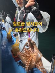 [사천] 삼천포 마린보이 10. 19. 목요일 부터 가을 덩치문어 뜯으로…