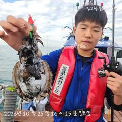 오후 짬낚시 조황