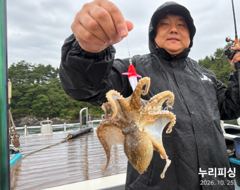 주꾸미 수욜 출항확정 이벤트진행중 삼천포누리피싱