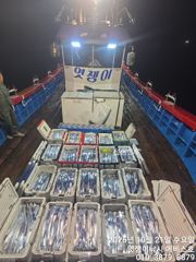 텐빈 대갈치 씨알급으로 일욜일 부터 예약 가능 합니다