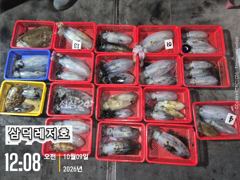 [팁런]k,k,좋은날씨,출항합니다(수요일,소수인원,출항확정)