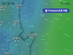 [경주] 10월 후반부, 대삼치 지깅ㅡ날씨복은 어복과 같음!