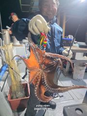 삼천포 문어, 주꾸미 조황!