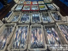 대치 사냥 씨알급으로 일요일 부터 가능 합니다