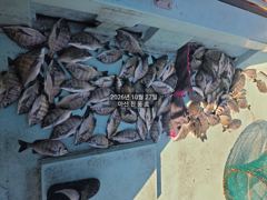 [마산] 진동호 27일 감성돔 3짜중반까지....