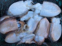 < 팀 인천 루키나 >> 10. 28. 9물 << 루키나V 독배 워크샵 이벤트 >>