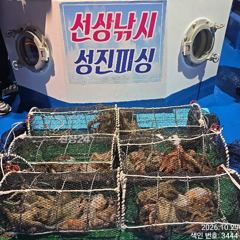 [진해] 28일 K,K,Kg급으로 올라와 잡고온 야간~돌문어 마리수 잡으…