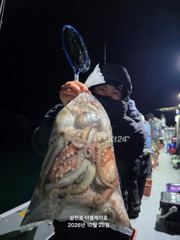 [사천] 삼천포 문어 주꾸미 조황!