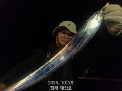 [진해] (먼바다)王갈치 구덩이~씨알급 한치도 주렁주렁~해신호(1일 예약…
