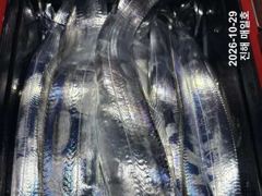 [29일,준내만갈치]잔씨알속 4지5지 대치들설치고~!!! 금요일/일요일/월요일 쭉 예약가능합니다!