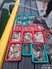 거제 갑돌이 !!! 갑돌이들이 쫙쫙 떙겨주네요!!!!
