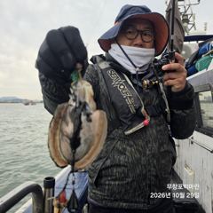 쭈꾸미~♪ 10.29( 목요일 ) [[[ 무창포프로낚시 ]]] <<<<< 빅 마 린 >>>>> 쭈 꾸 미 조황보고....