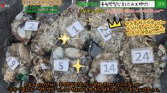 10월29일 홍원항힐링호 쭈갑 조황~!10명조우님과 가족단체분들 모시고 다녀왔습니다^^물좀 안정되니 쭈갑애들 좀 올라오네요~낚지는 서비스 ㅋㅋ 늘어나는 양에 감사한 하루였습니다.