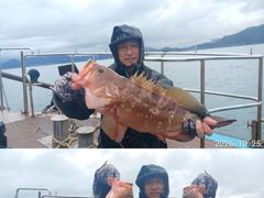 [진해] "" 돌문어 "" 큰넘들이 제법...(내일예약가능)