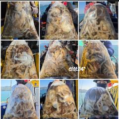 다래호 대왕쭈꾸미 쫙 쫙 달라붙습니다 즐낚하러오세요 월요일부터 자리널널 입니다