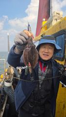 1030 사리물때 안면도 주꾸미 갑오징어 오전 오후 5시간 배낚시
