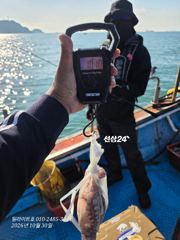 (돌문어) 1등 29수, 2등 23수, 3등 18수, 4등 17…