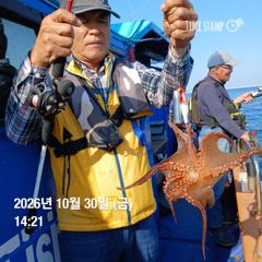 포항.종방) 제2대일호 10월 30일 문어조황