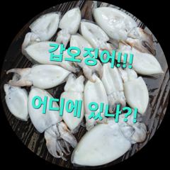 10월 30일 갑이 조황