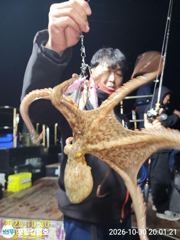 10-30(돌문어)조황~~~