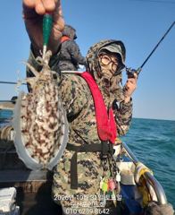 갑오징어실시간