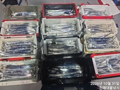 [진해] 와우~31일새벽,내만칼치 걸면3지4지용가리들 퍽퍽~씨알대박~일.…