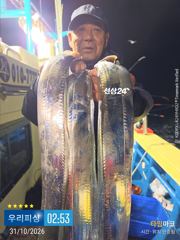 [진해] 준내만갈치(텐빈. 텐야) 조황입니다. (일요일 예약가능)