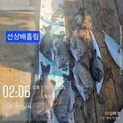 병산 감성돔45외 마리수 선상배 &감성돔4짜외 마리수 선외기및덴마흘림